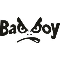 Bad Boy - Плохой парень