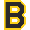 Логотип Boston Bruins - Бостон Брюинз