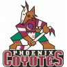 Логотип Arizona Coyotes - Аризона Койотис