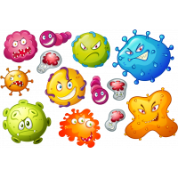 Набор "Вирусы / Бактерии"
